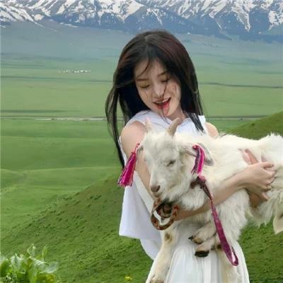 易总的娇娇玫瑰